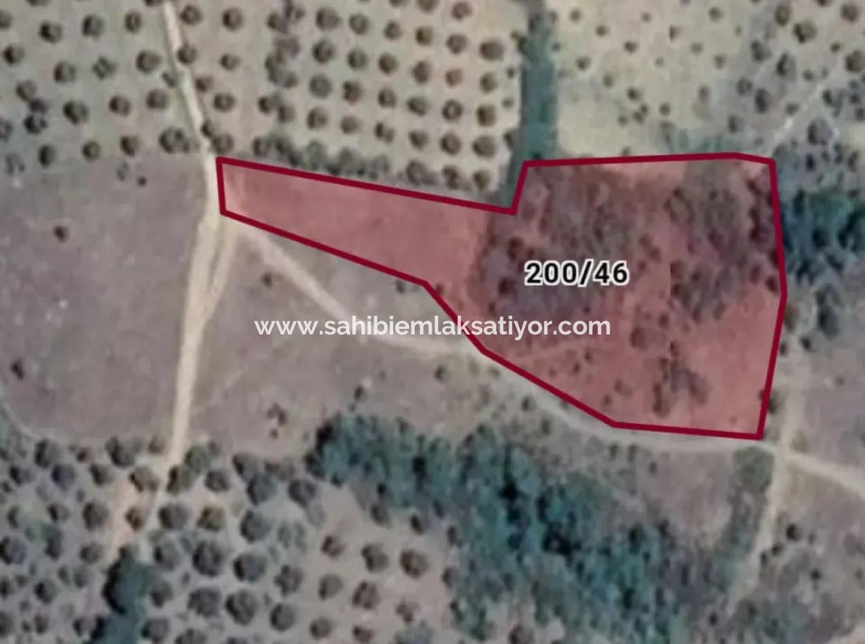 Kaz Dağları 9068 M2 Tarla Ekoturizm Alanı 