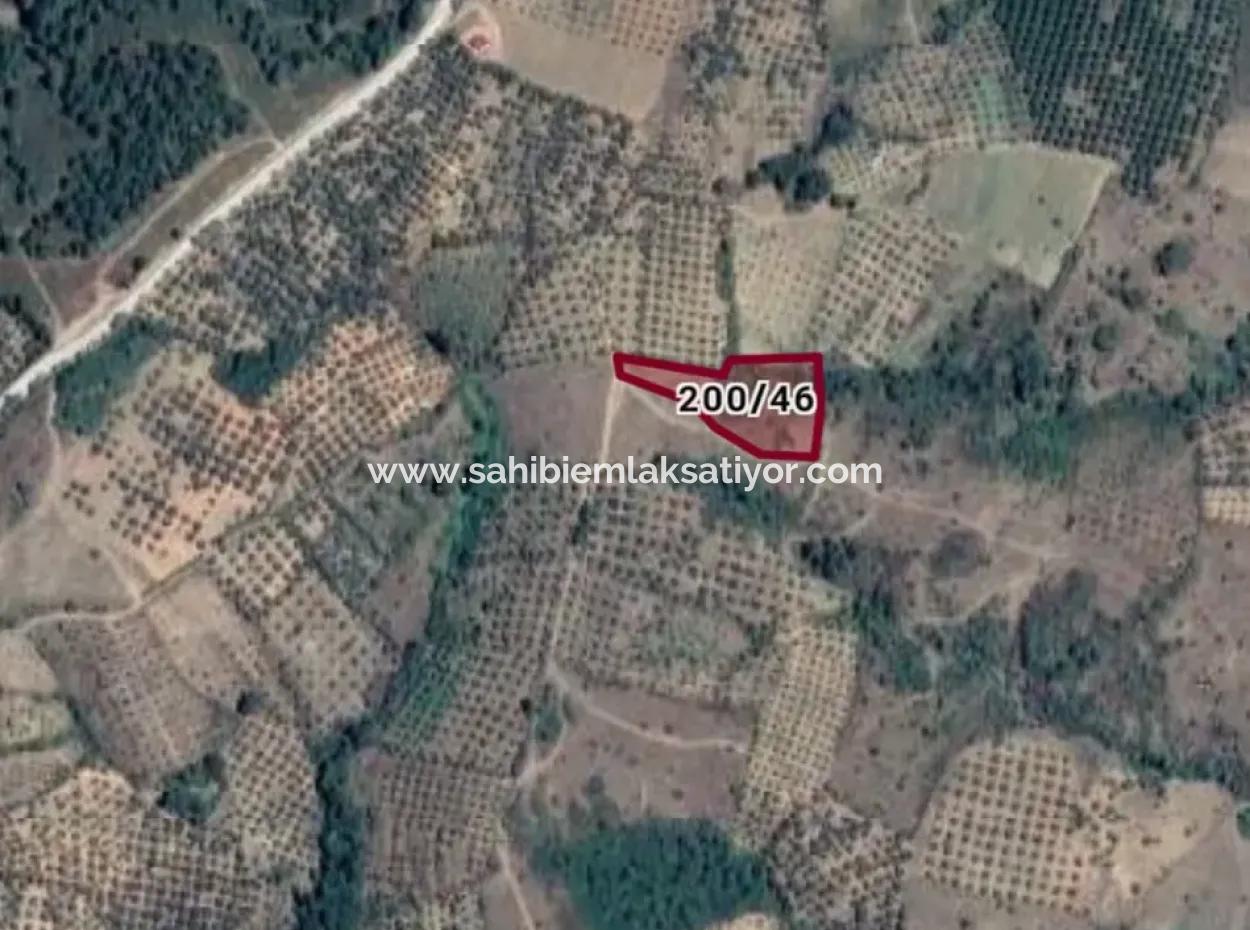 Kaz Dağları 9068 M2 Tarla Ekoturizm Alanı 